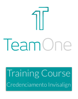 TeamOne Training Course
